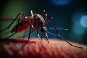 Cortarle a tiempo las alas a la epidemia